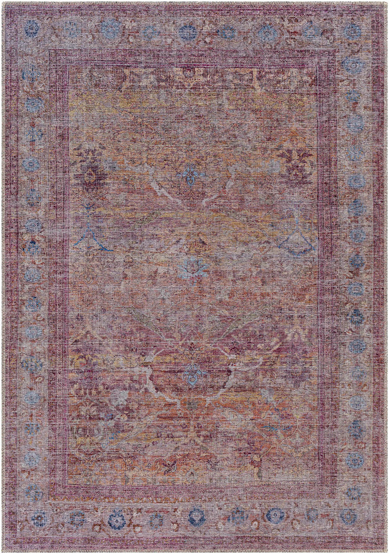 Alcoy Washable Area Rug - Clearance by Boutique Rugs