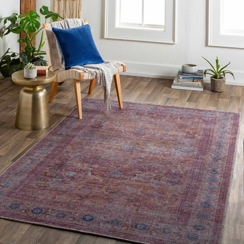 Alcoy Washable Area Rug - Clearance by Boutique Rugs