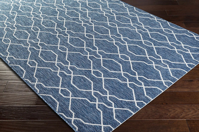 Aldford Outdoor Area Rug - Clearance by Boutique Rugs