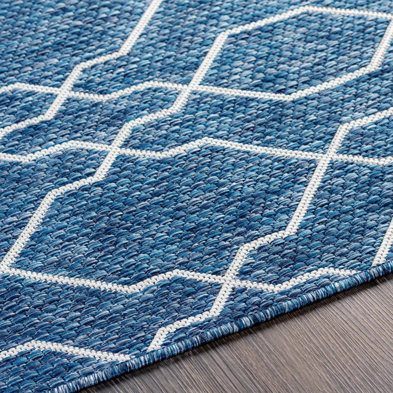 Aldford Outdoor Area Rug - Clearance by Boutique Rugs