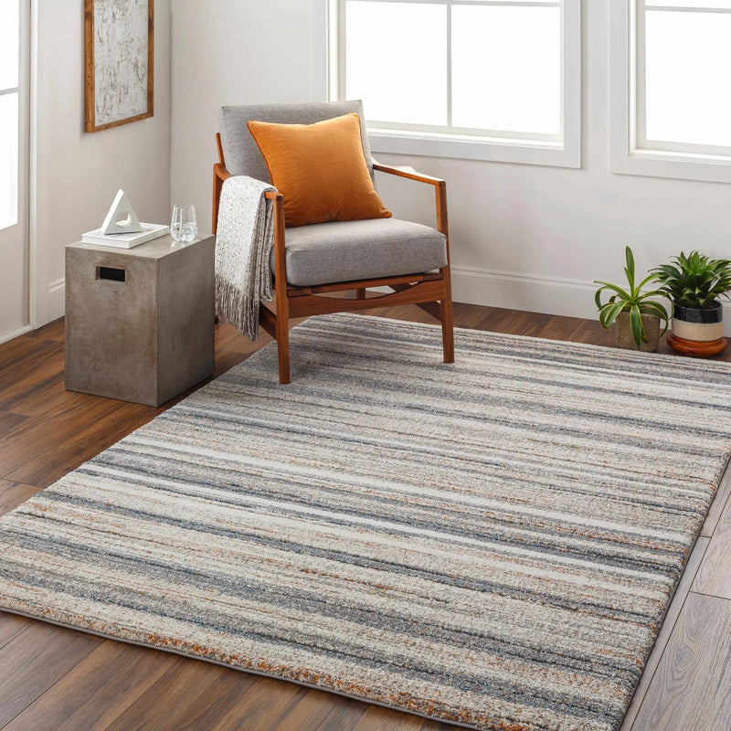 Alejo Area Rug - Clearance by Boutique Rugs