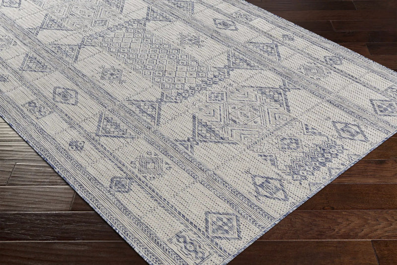 Malamig Gray & Blue Outdoor Area Rug - Clearance by Boutique Rugs