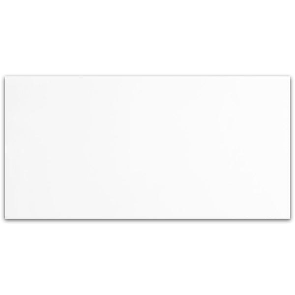 Alpine Polished 24x48x3/8