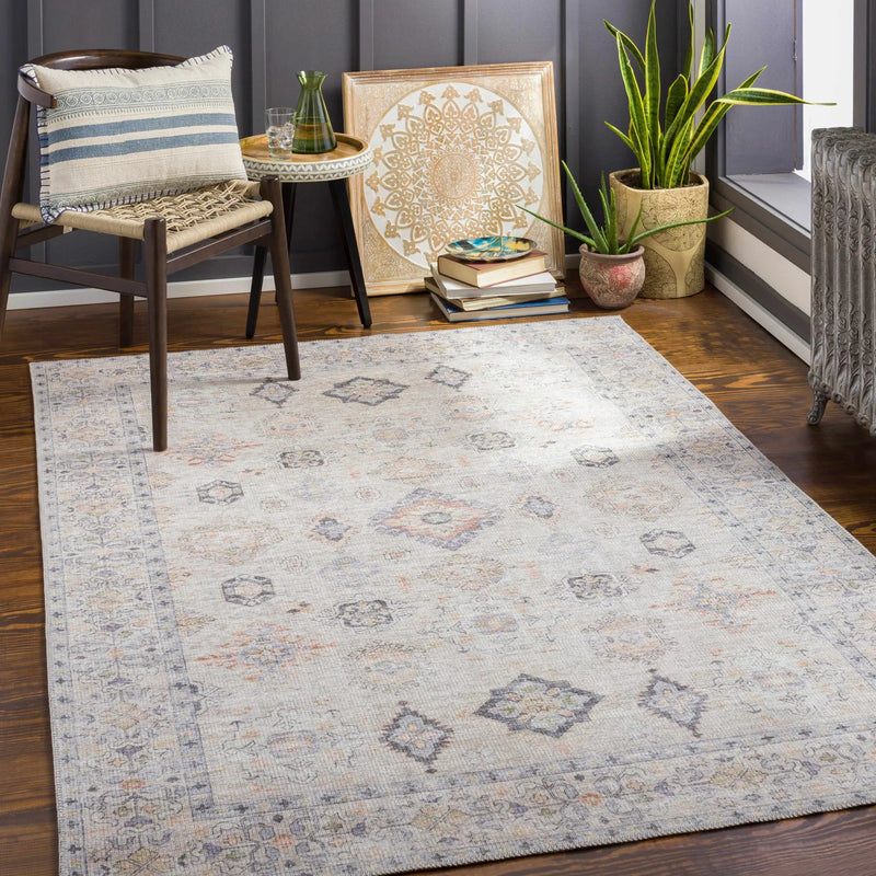 Beige Beckett Vintage Washable Area Rug by Hauteloom