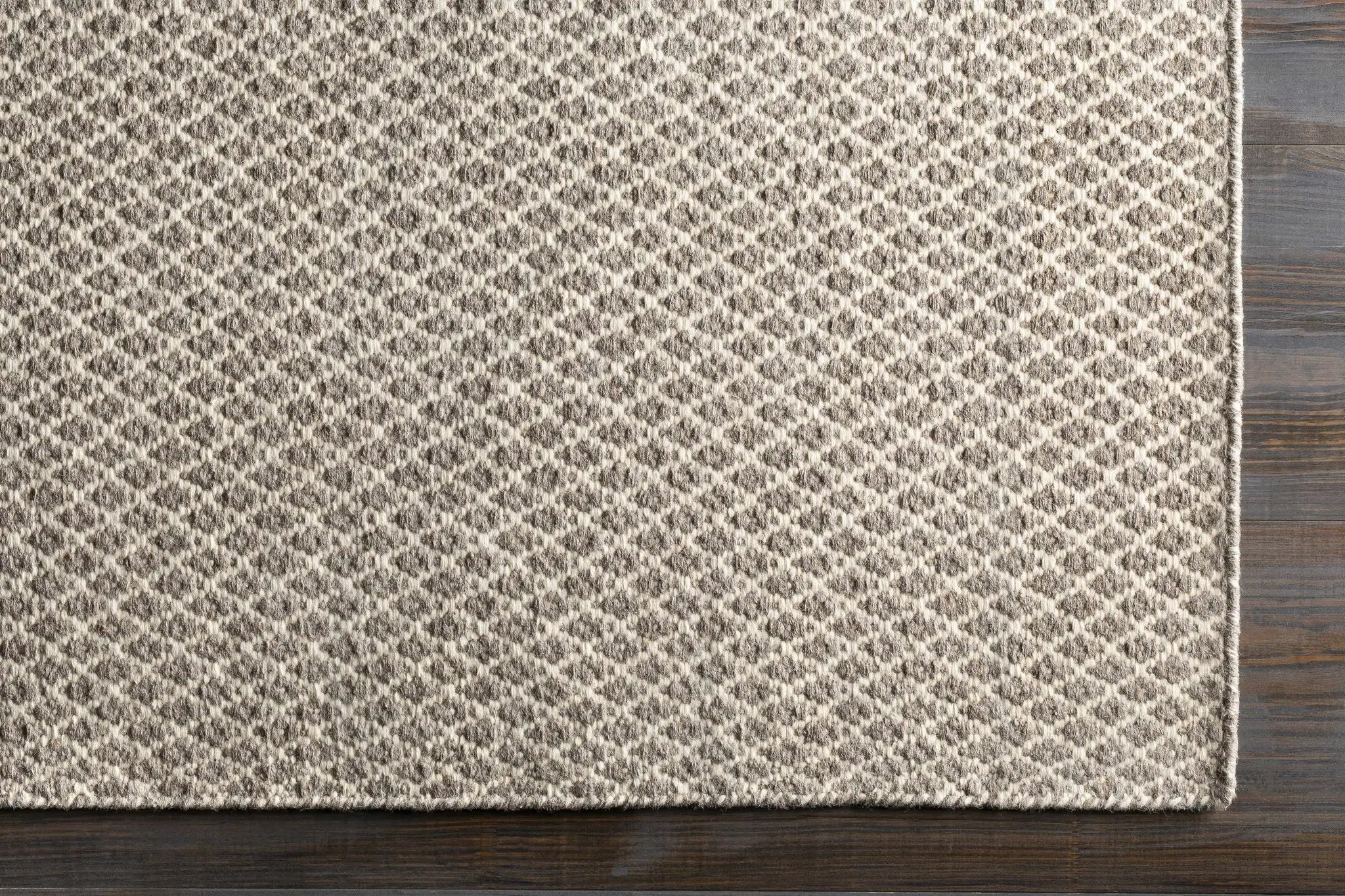 Amelia Area Rug - Clearance by Boutique Rugs