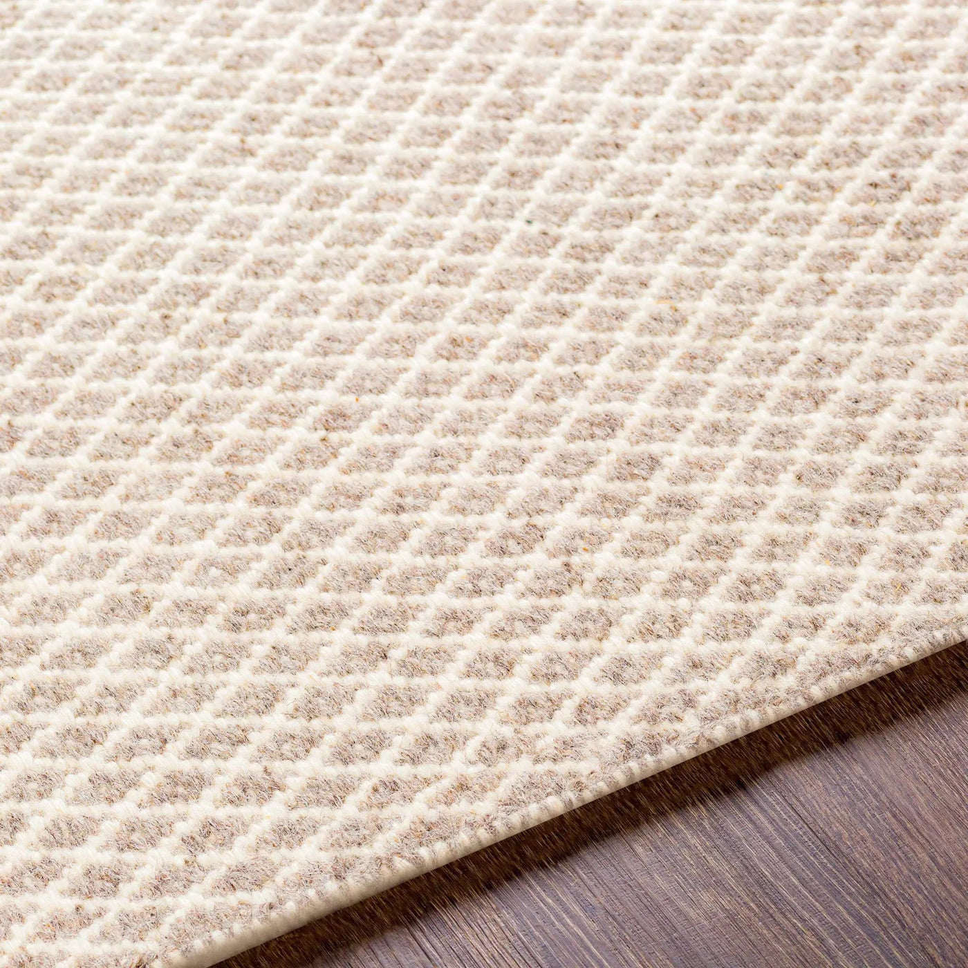 Amelia Area Rug - Clearance by Boutique Rugs