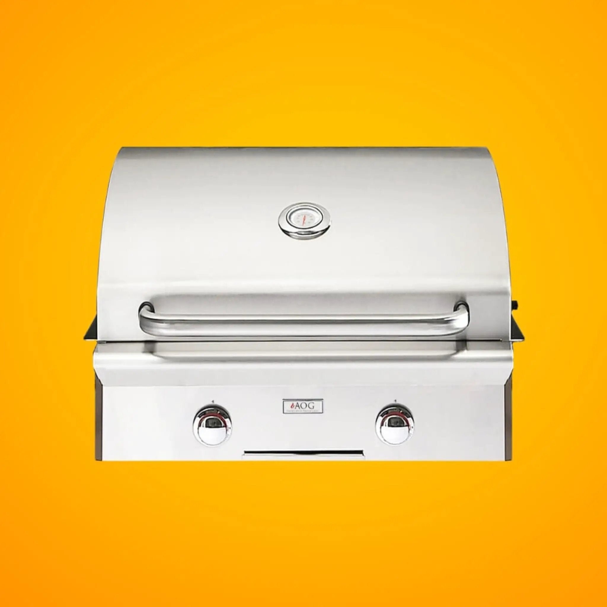 American Outdoor Grill L-Series 24-Inch 2-Burner Built-In Natural Gas Grill [24NBL-00SP] (SAK10834) by SAKSBY WHOLESALE