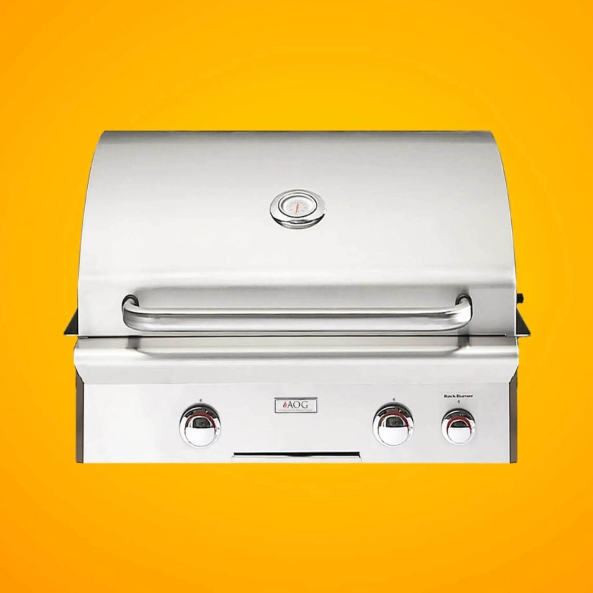 American Outdoor Grill T-Series 24-Inch 2-Burner Built-In Natural Gas Grill W/ Rotisserie Kit [24NBT] (SAK65205) by SAKSBY WHOLESALE