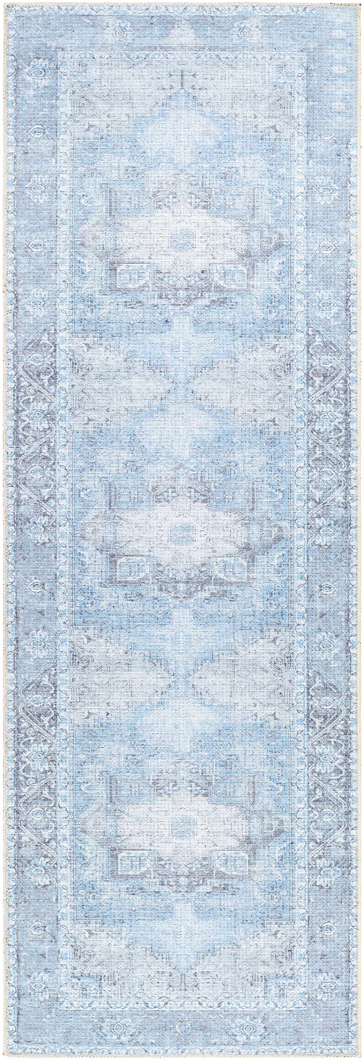 Aqua Rosman Washable Area Rug by Hauteloom