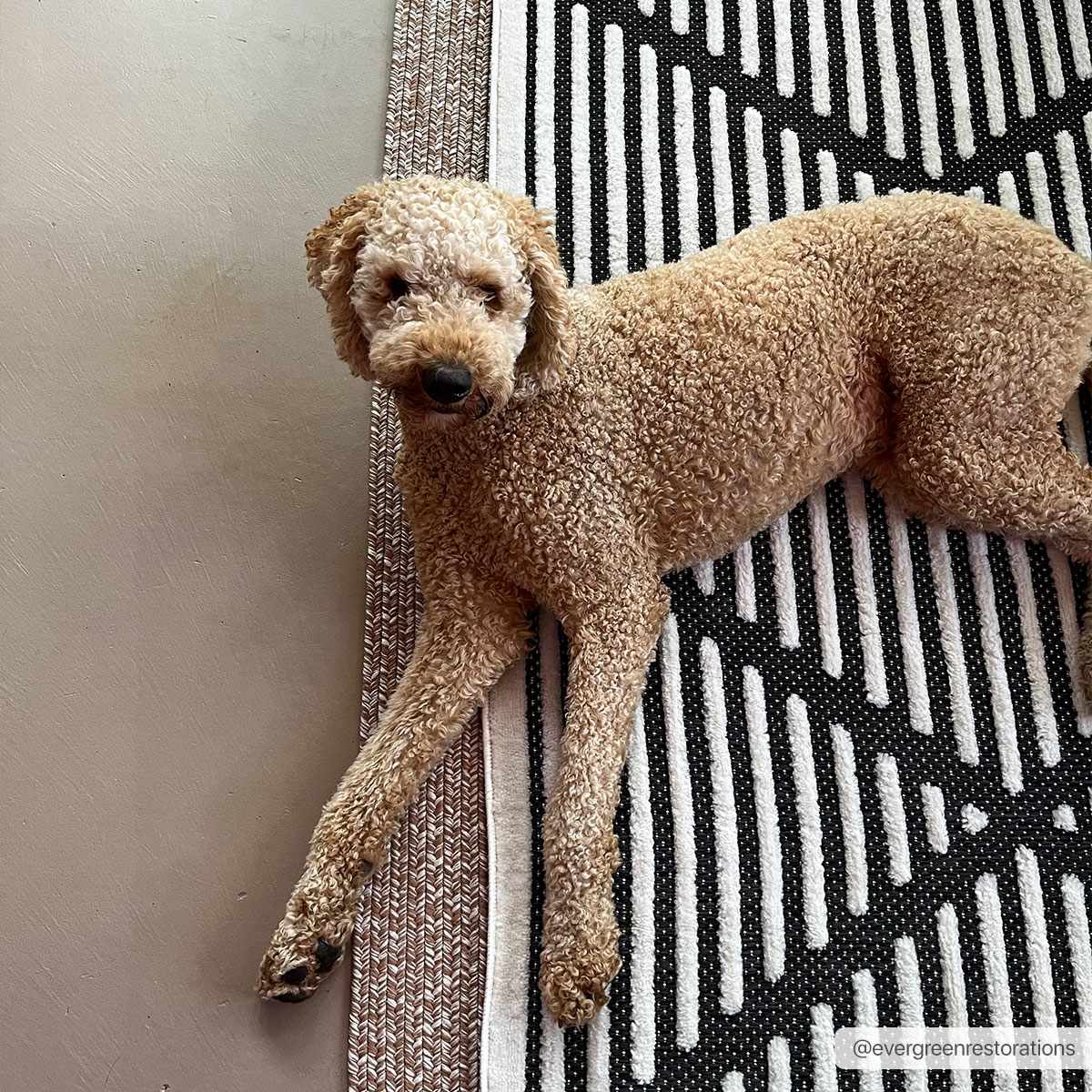 Anah 3D Black Outdoor Rug by Boutique Rugs