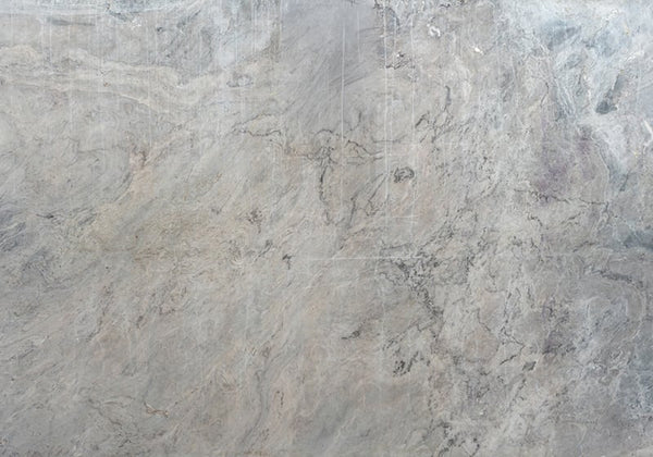 Anatomy Polished Marble Slab Random