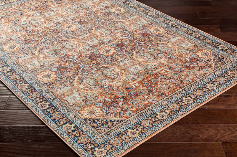 Ania Outdoor Area Rug - Clearance by Boutique Rugs