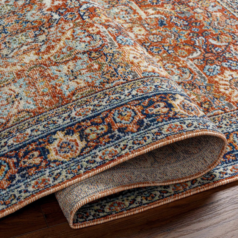 Ania Outdoor Area Rug - Clearance by Boutique Rugs