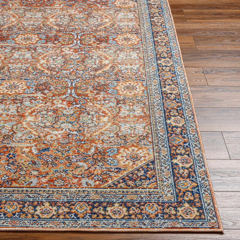 Ania Outdoor Area Rug - Clearance by Boutique Rugs