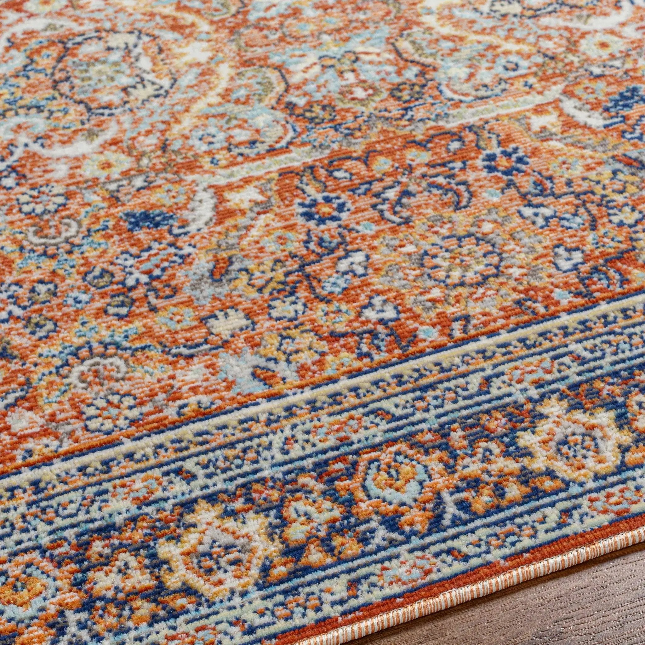 Ania Outdoor Area Rug - Clearance by Boutique Rugs
