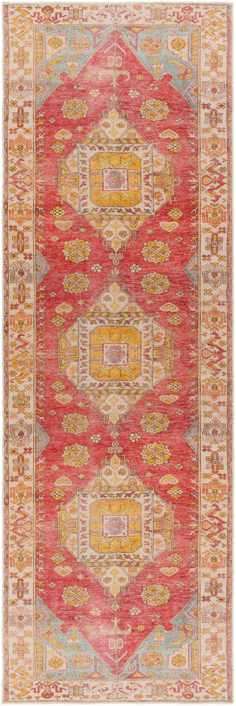 Anopog Washable Area Rug - Clearance by Boutique Rugs