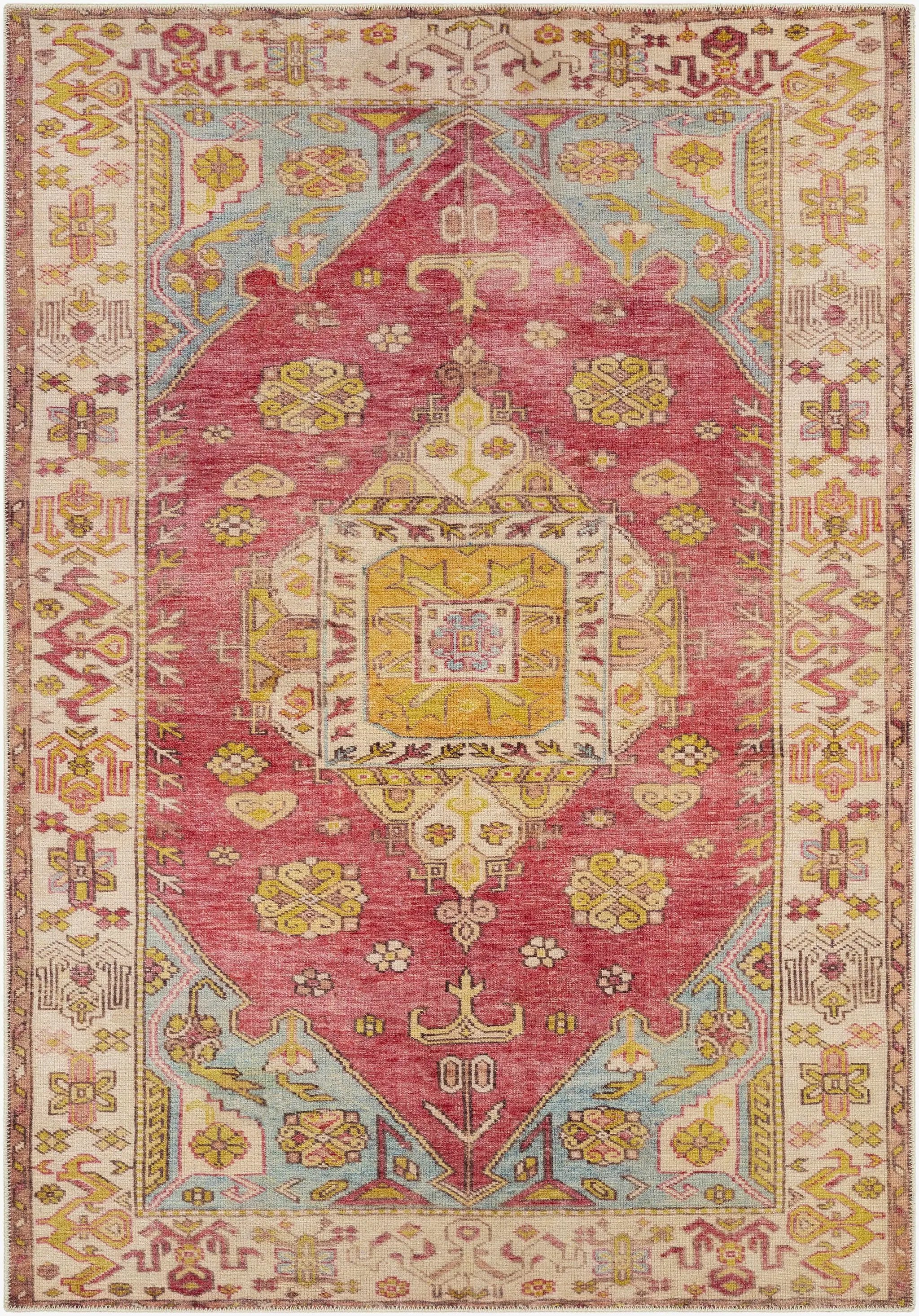 Anopog Washable Area Rug - Clearance by Boutique Rugs
