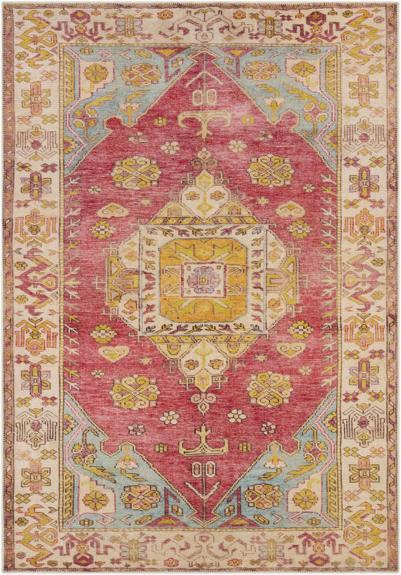 Anopog Washable Area Rug - Clearance by Boutique Rugs