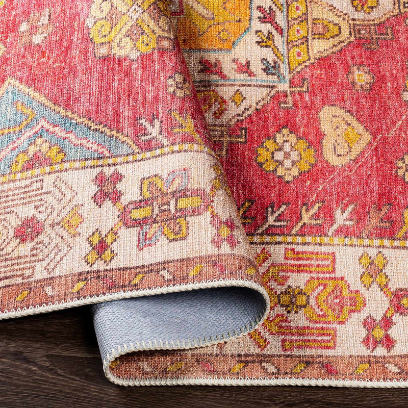 Anopog Washable Area Rug - Clearance by Boutique Rugs
