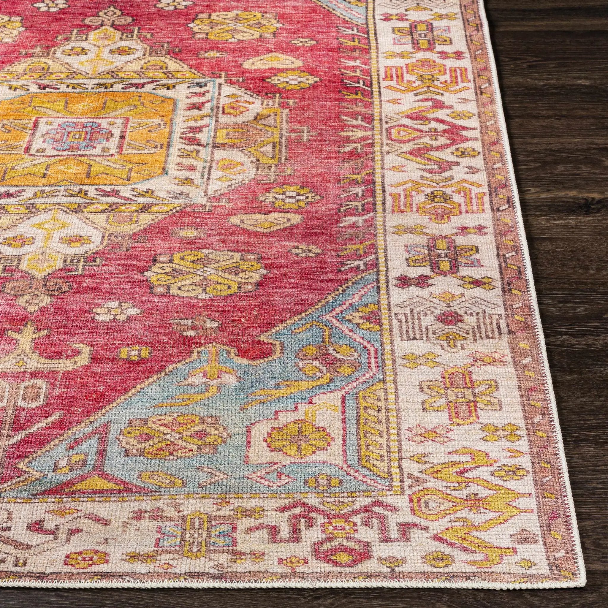 Anopog Washable Area Rug - Clearance by Boutique Rugs