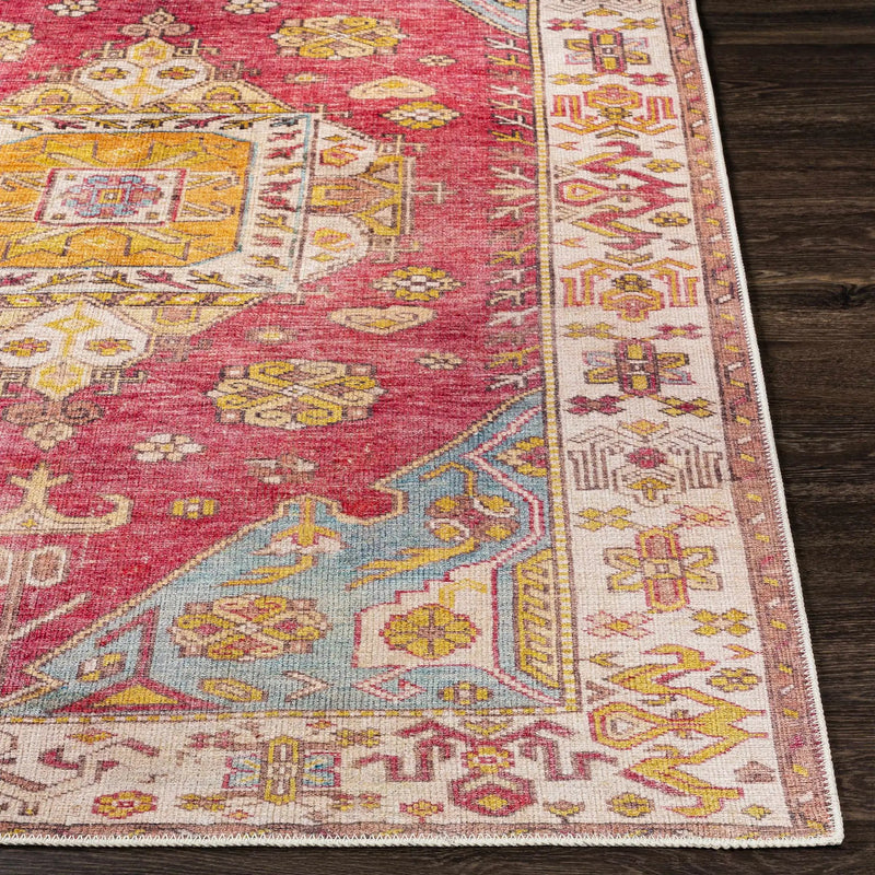 Anopog Washable Area Rug - Clearance by Boutique Rugs