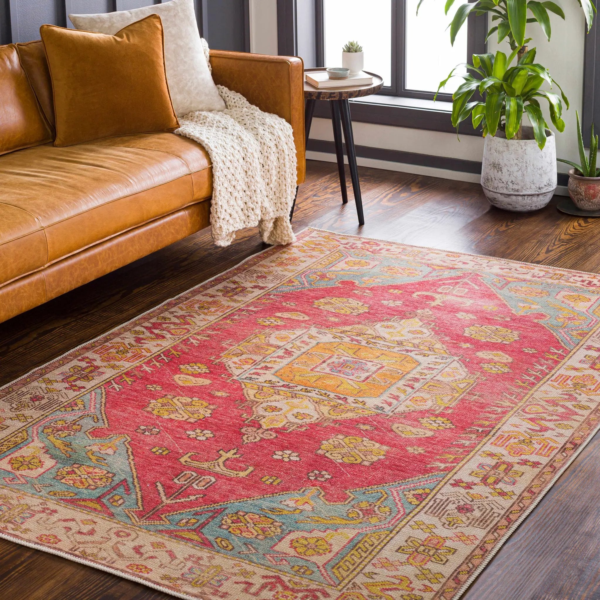 Anopog Washable Area Rug - Clearance by Boutique Rugs