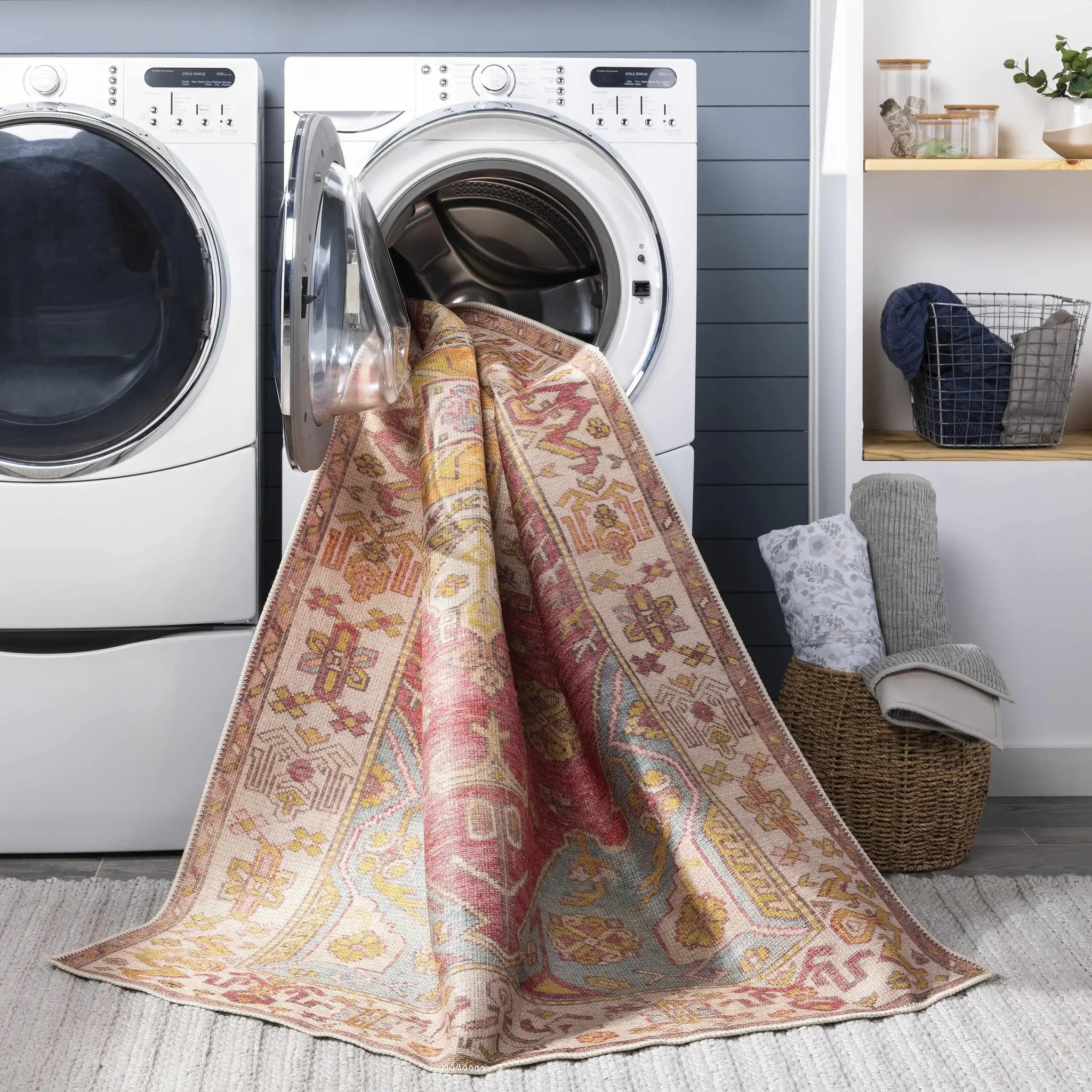 Anopog Washable Area Rug - Clearance by Boutique Rugs