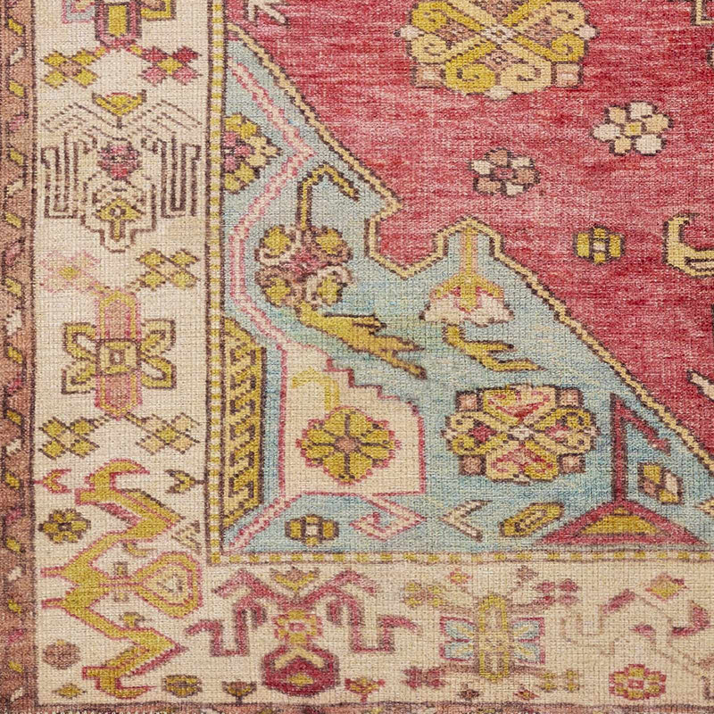 Anopog Washable Area Rug - Clearance by Boutique Rugs