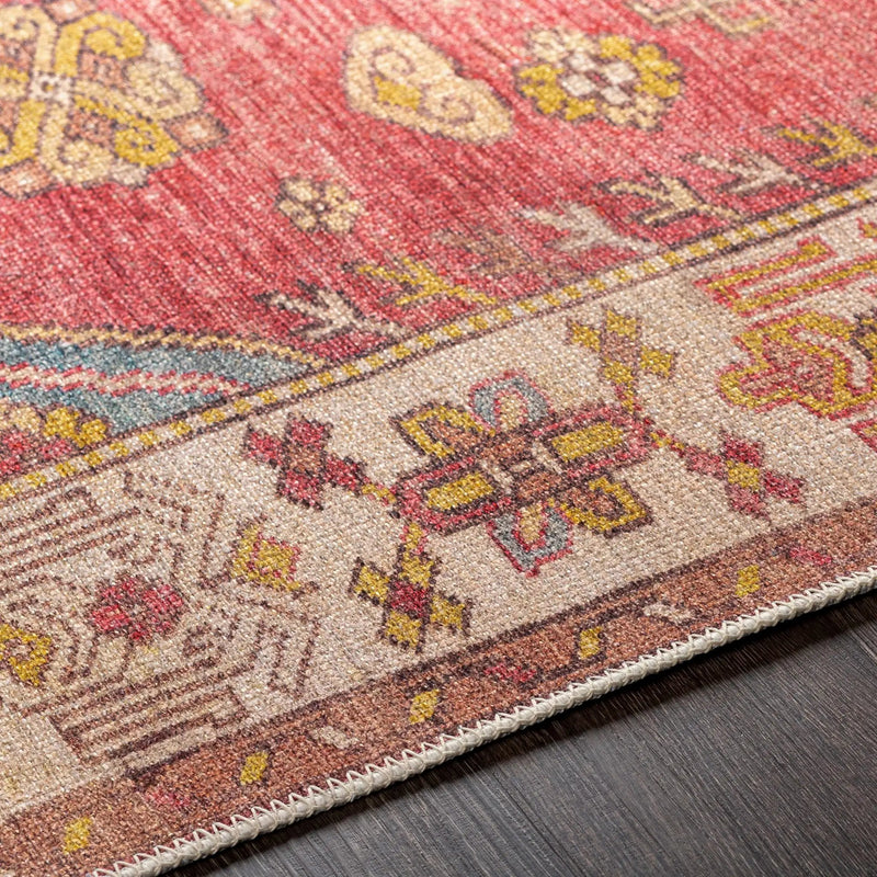 Anopog Washable Area Rug - Clearance by Boutique Rugs