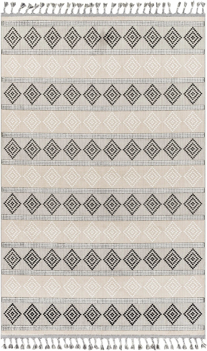 Arij Area Rug - Clearance by Boutique Rugs