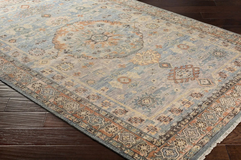 Aripeka Area Rug - Clearance by Boutique Rugs