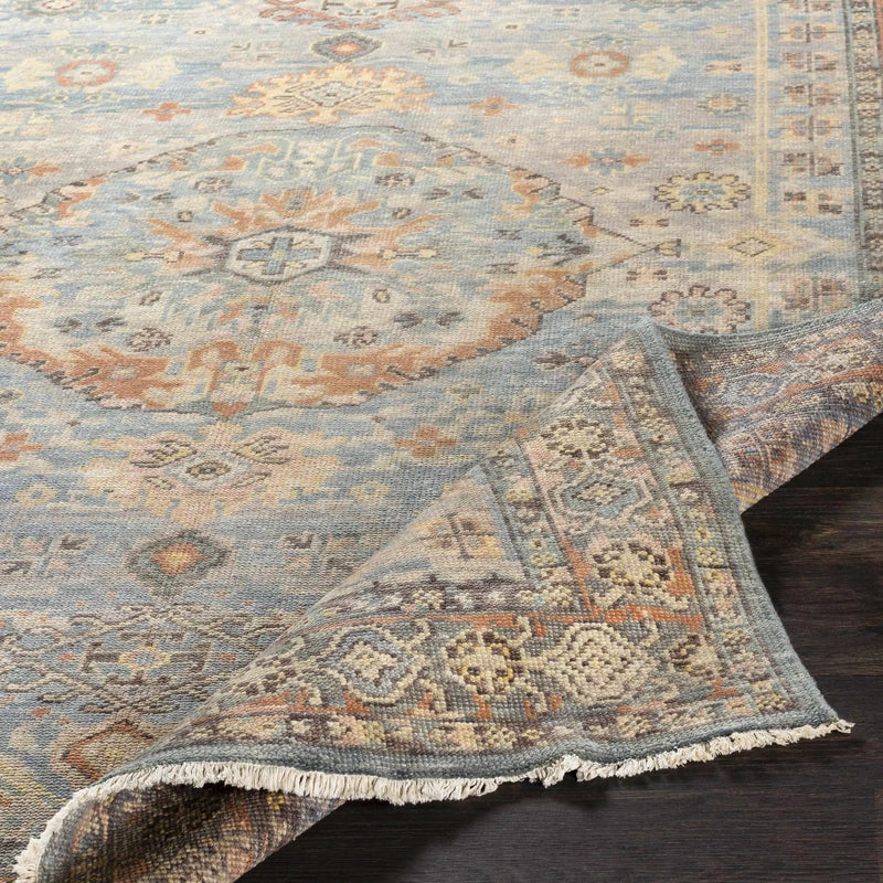 Aripeka Area Rug - Clearance by Boutique Rugs