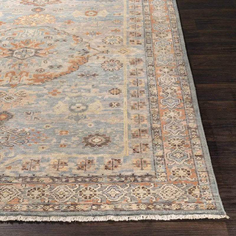 Aripeka Area Rug - Clearance by Boutique Rugs