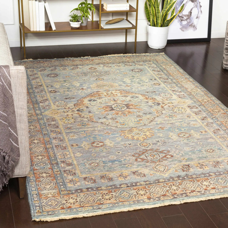 Aripeka Area Rug - Clearance by Boutique Rugs