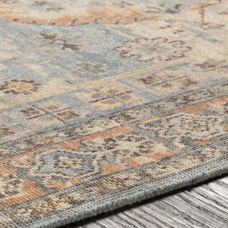 Aripeka Area Rug - Clearance by Boutique Rugs