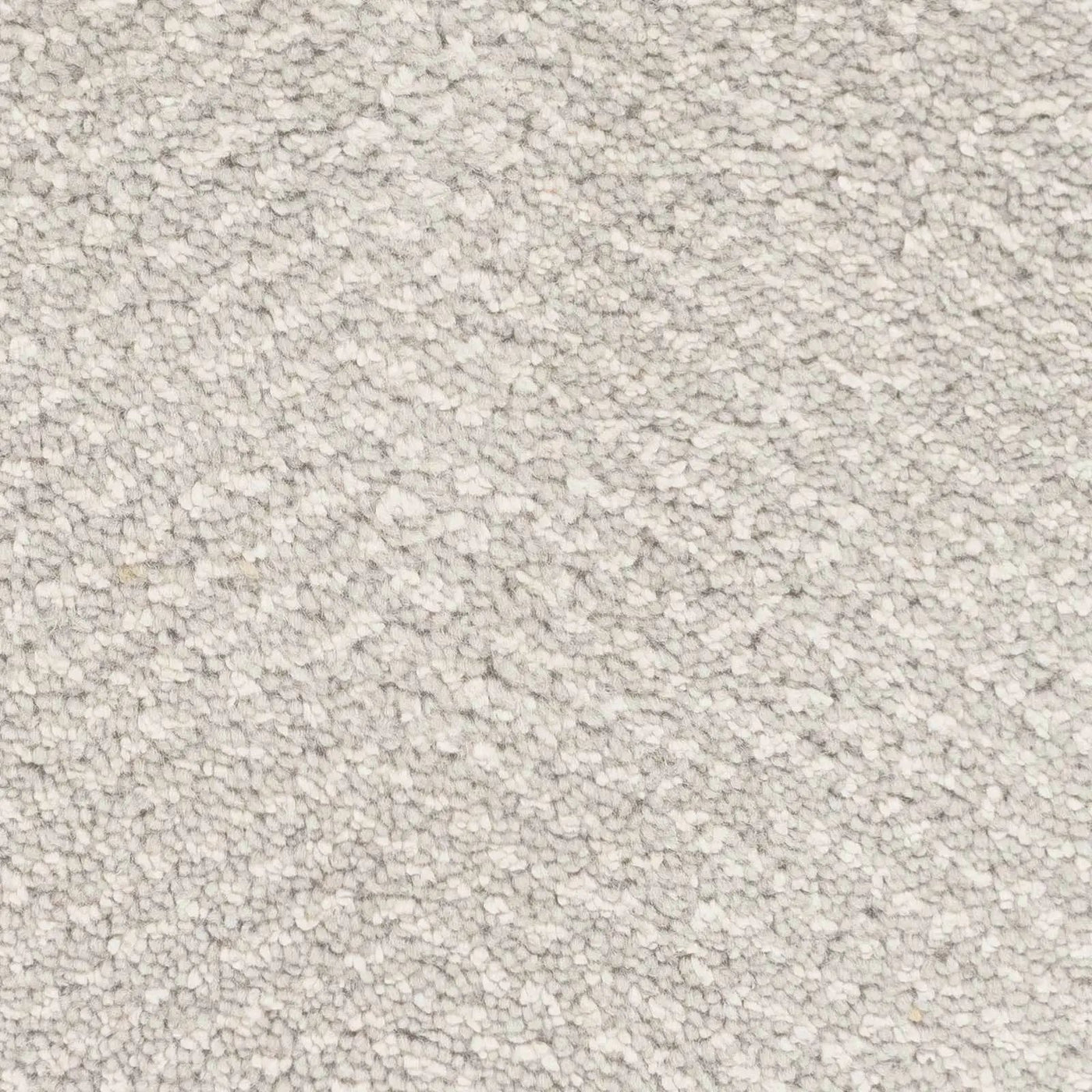 Arkadelphia Carpet - Clearance by Boutique Rugs
