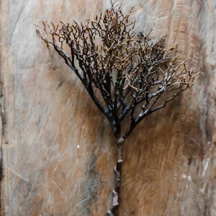 Artificial Coral Shaped Twig Stem 14" Tall by RusticReach