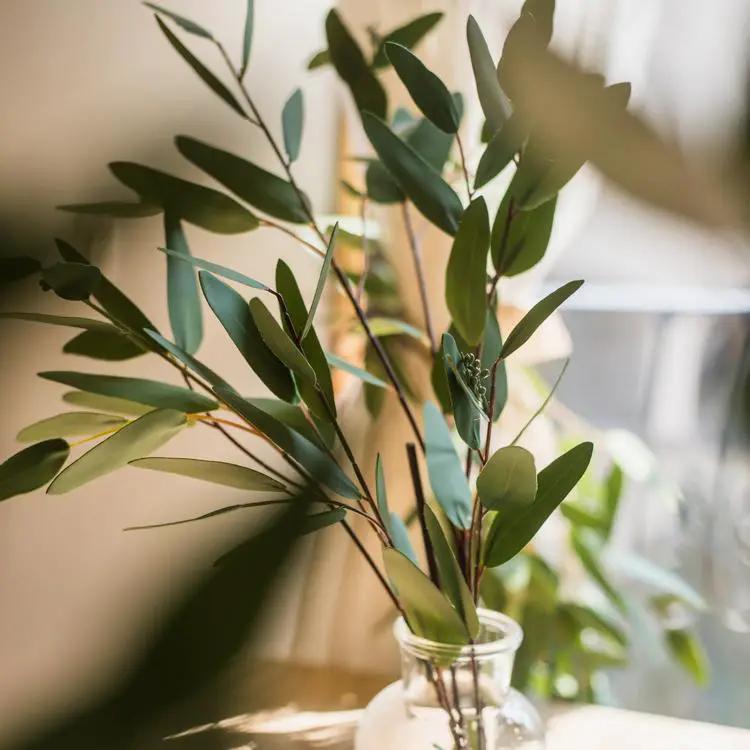 Artificial Faux Eucalyptus Leaf in Various Shapes by RusticReach