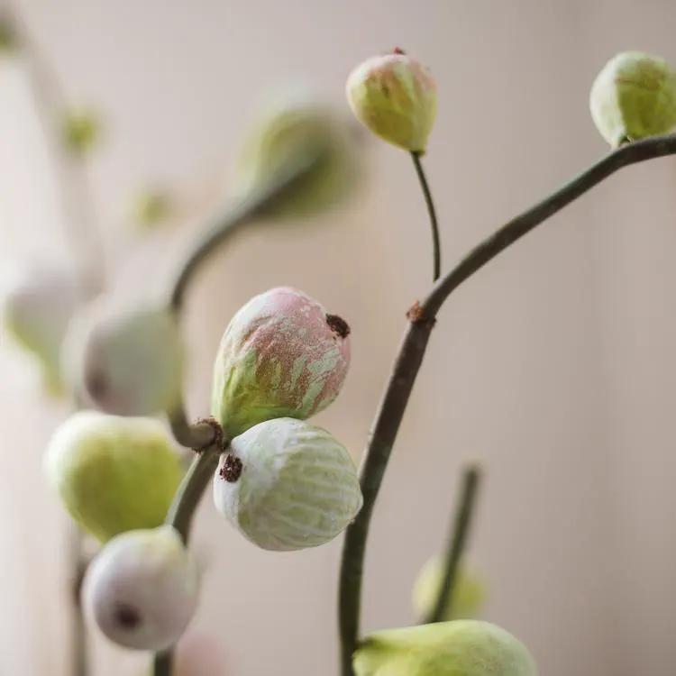 Artificial Fig Fruit Stem 30" Tall Silk Branch by RusticReach