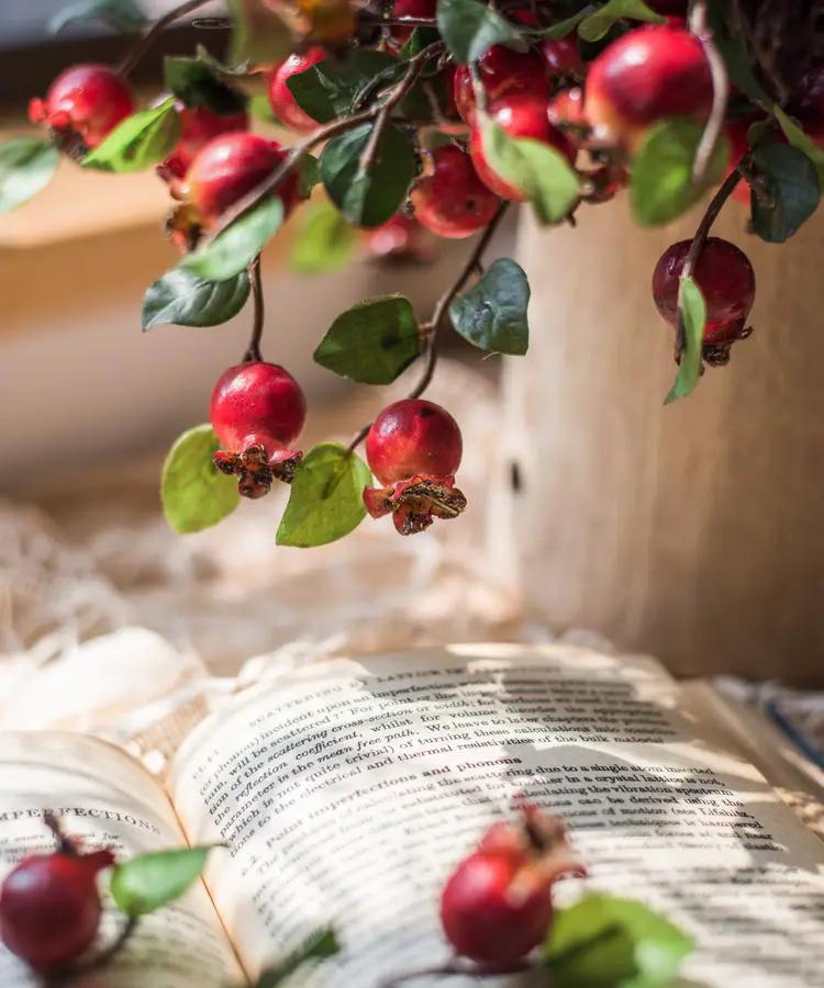 Artificial Fruit Pomegranate Fruit Bouquet 12" Tall by RusticReach