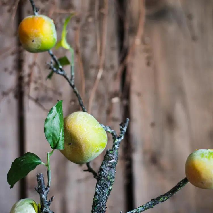 Artificial Green Persimmon Fruit Stem 31" Tall by RusticReach