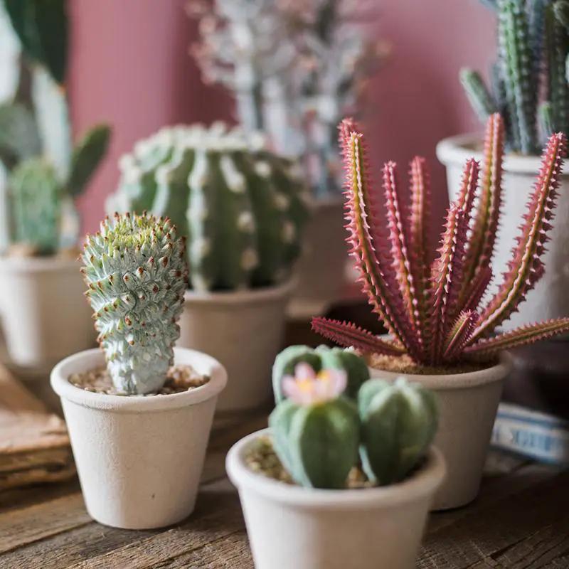 Artificial Faux Cactus Plant Bonsai Potted by RusticReach