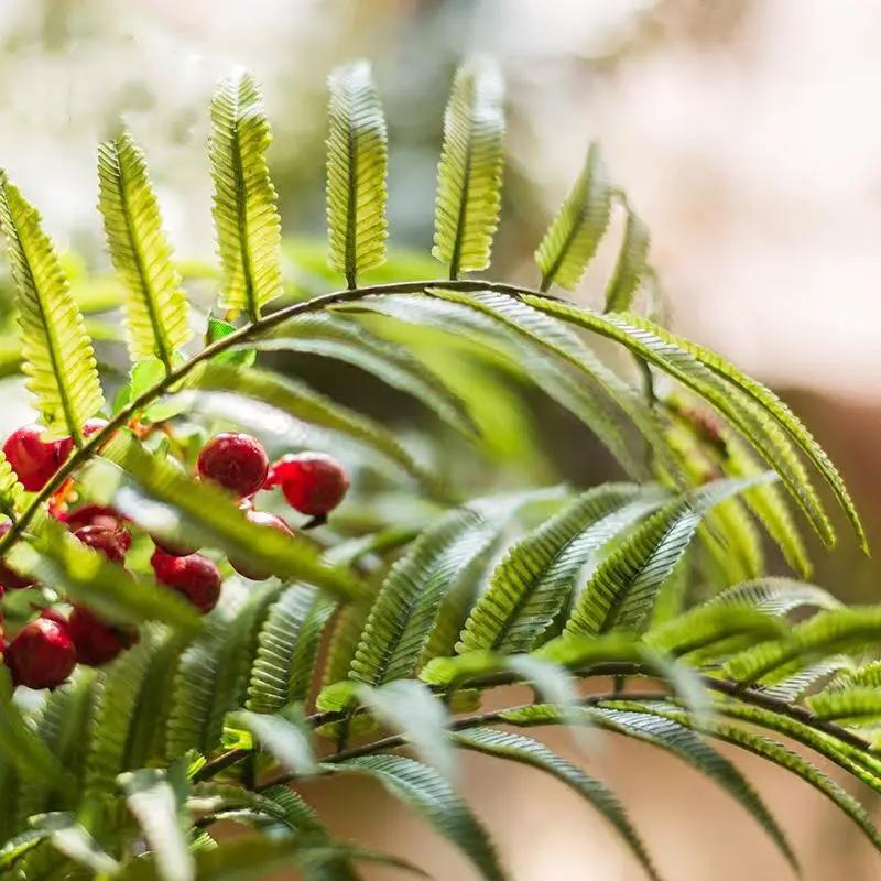 Artificial Faux Plant Chain Fern Stem 22" Tall by RusticReach