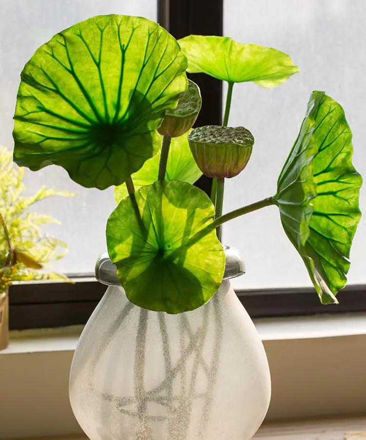 Artificial Faux Plant Lotus Seed and Leaf Stem Various Sizes by RusticReach