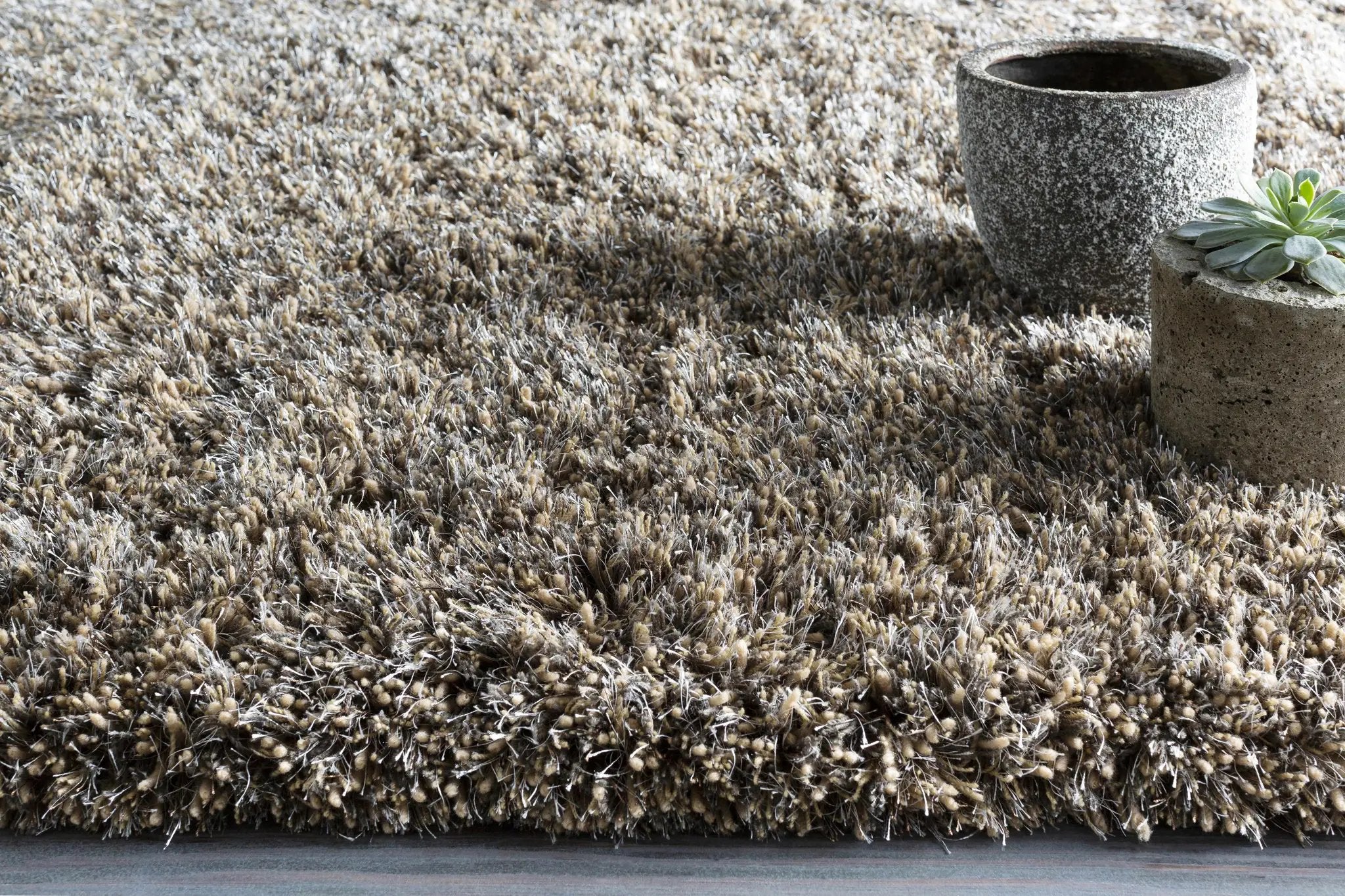 Ascot Area Rug - Clearance by Boutique Rugs