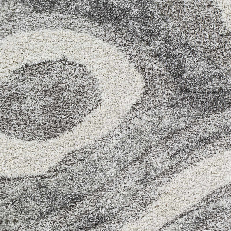 Asfordby Gray Canyon Plush Rug by Boutique Rugs