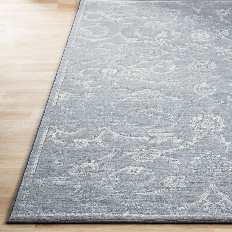 Astatula Area Rug - Clearance by Boutique Rugs