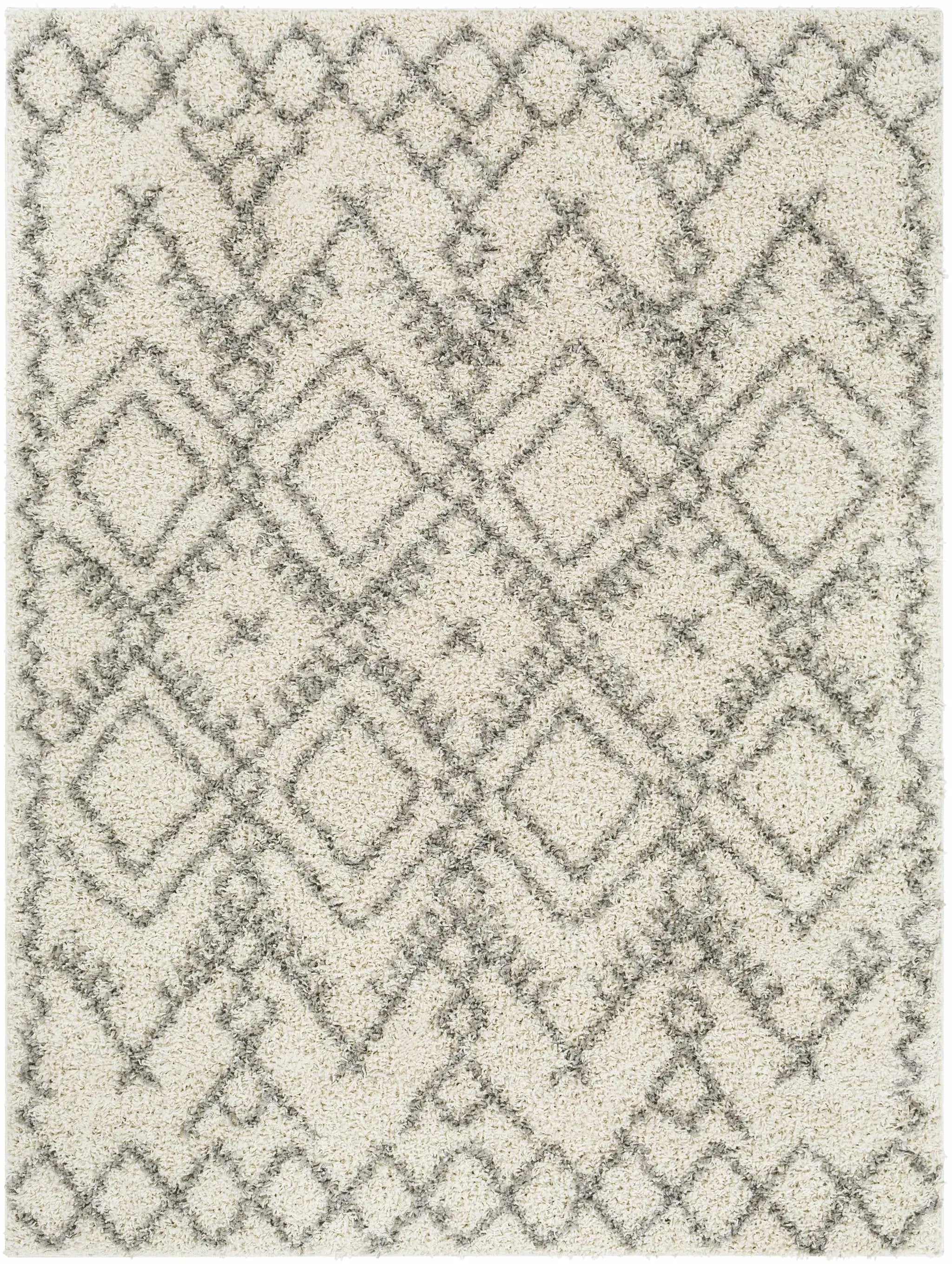Atascadero Area Carpet - Clearance by Boutique Rugs