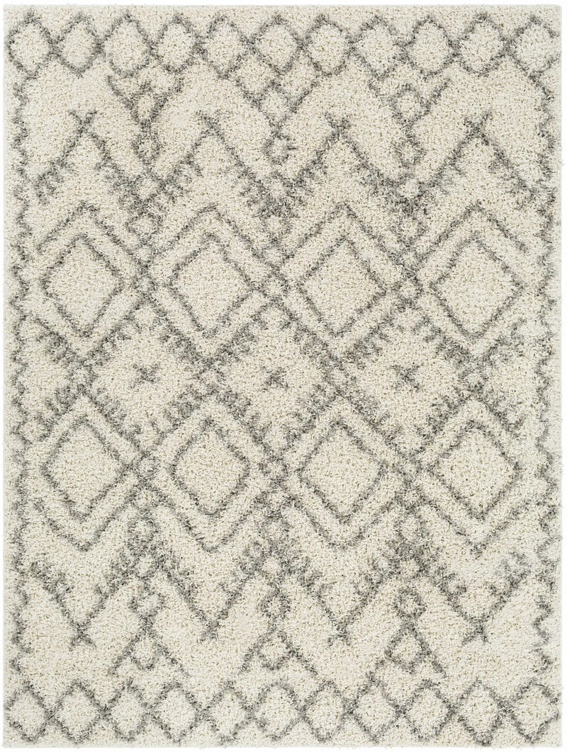 Atascadero Area Carpet - Clearance by Boutique Rugs