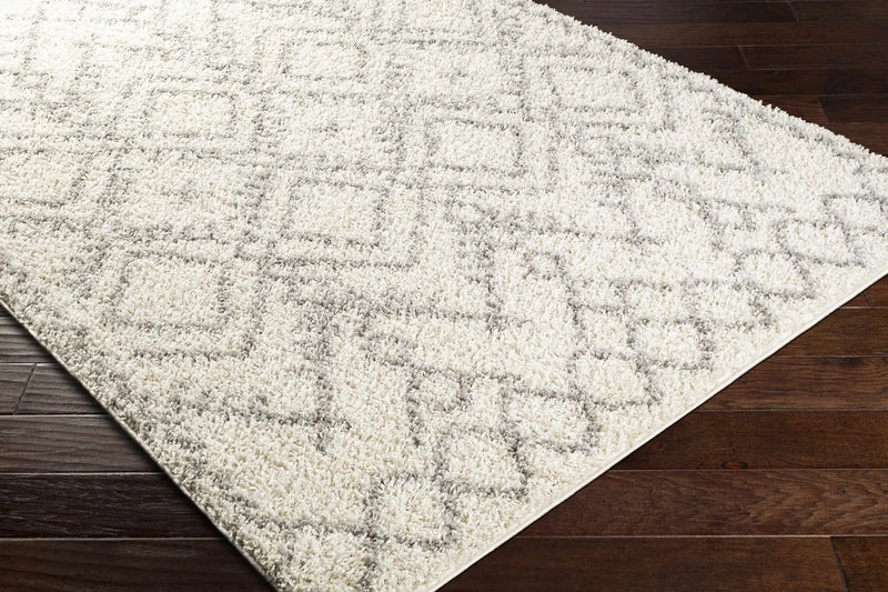 Atascadero Area Carpet - Clearance by Boutique Rugs